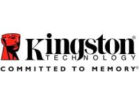 Kingston_300