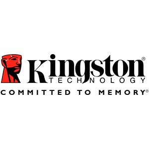 Kingston_300