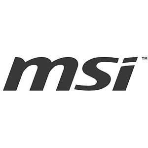 msi_300